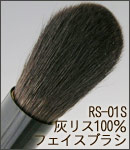 RS-01S